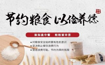 青春节粮活动总结精选8篇