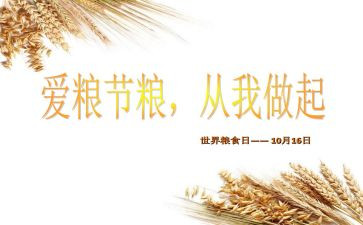 青春节粮活动总结参考7篇