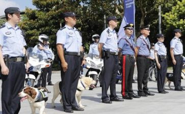 2023年警察个人总结优质6篇