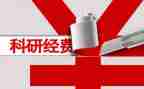经费会计的年终总结7篇