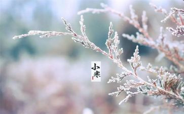 节气教案精选7篇