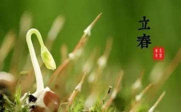 节气教案参考7篇