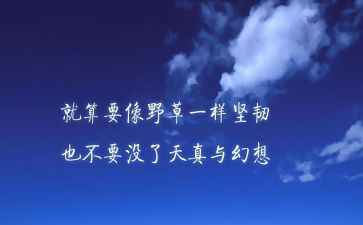 2024三牛精神心得体会8篇
