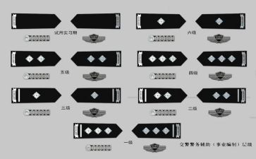2024警衔晋升自我鉴定5篇