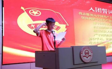 学生进团委的工作总结5篇