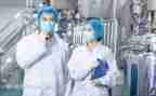 专业技术工作总结高级职称7篇