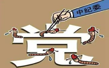 2023镇纪委工作总结5篇