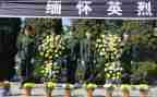 清明祭英烈主题演讲稿5篇