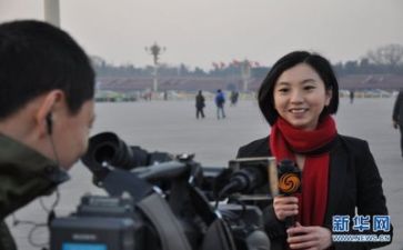 记者2023个人总结模板7篇