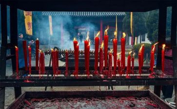 清明祭祖的心得体会7篇