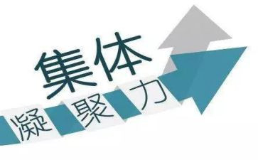 凝聚力的心得体会5篇