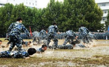 军训服活动总结8篇