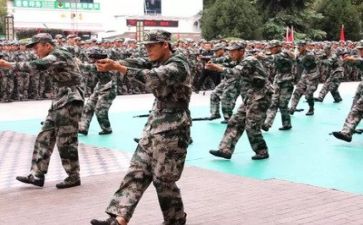 写军训的心得体会500字参考7篇