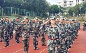 800字军训作文优质7篇