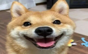 作文让我开心的人作文400字7篇