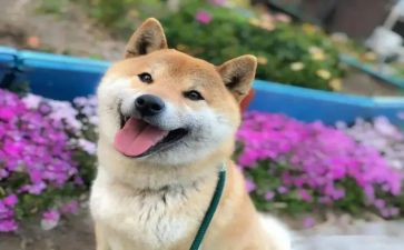 关于暑假最开心的事作文优质7篇
