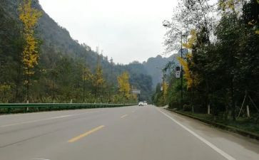 生活靠自己的作文7篇