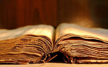 鲸课文教案通用5篇