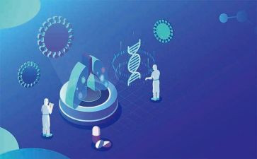 大班科学《种子》教案5篇
