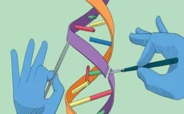 科学教学总结范文精选5篇