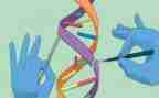 科学工作总结个人范文7篇