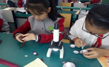 幼儿园中班溶解科学课教案5篇