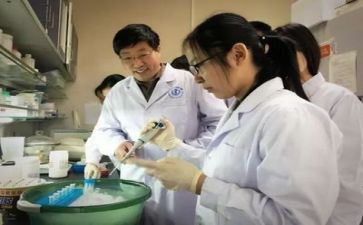 个人工作总结科研工作6篇