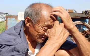与老人活动总结6篇