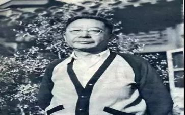 老舍的《猫》读后感500字5篇