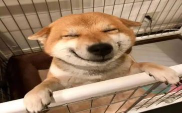 音乐课半学期工作总结6篇