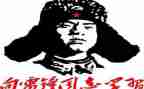 学雷锋工作总结5篇