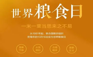 粮食节约活动总结范文5篇
