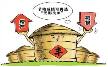粮食节活动总结8篇