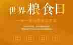 粮食节约活动总结范文5篇