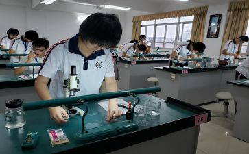 理化生工作总结8篇