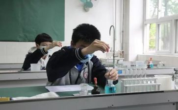 理化的工作总结8篇