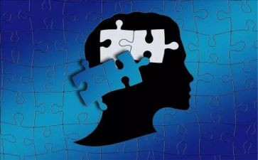 对家的理解作文500字6篇