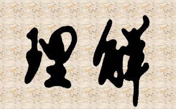 我理解你作文5篇