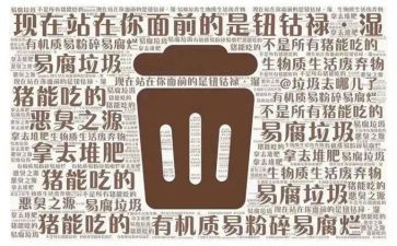 开展校园垃圾分类活动总结5篇