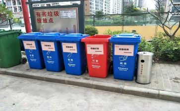 捡垃圾活动的活动总结5篇