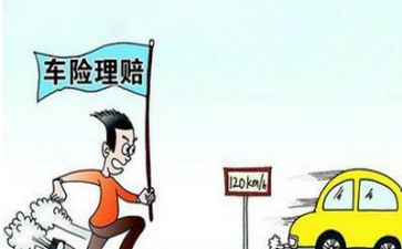 保险理赔工作年终总结8篇