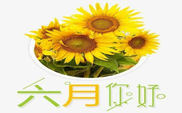 幼儿园小班六月份工作总结8篇