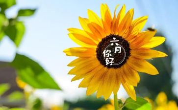 幼儿园大大班六月份工作总结8篇