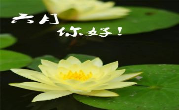 中班六月份工作总结8篇