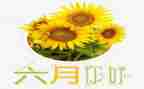 幼儿大班六月份工作计划7篇