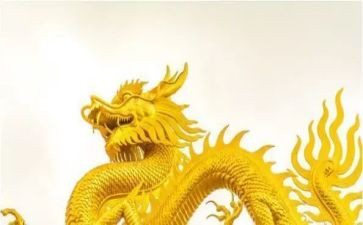 学校龙文化活动总结7篇
