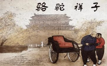 骆驼杨子读后感参考6篇