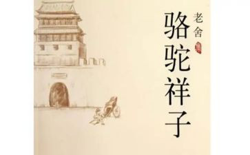 骆驼杨子读后感8篇