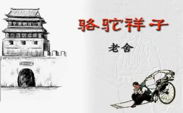 骆驼杨子读后感模板6篇