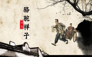 骆驼祥子读后感600字范文推荐6篇